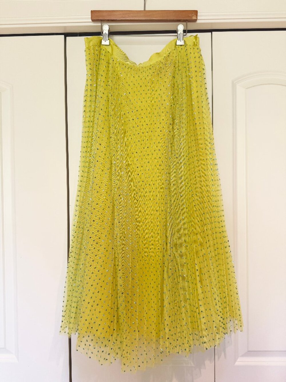 J.Crew Pleated Tulle Skirt with Metallic Polka Dots
